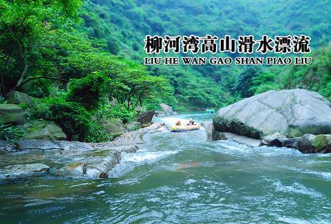 下载专区,体验前沿有没有过来人能说说作为一个丁克,该如何面对父母?